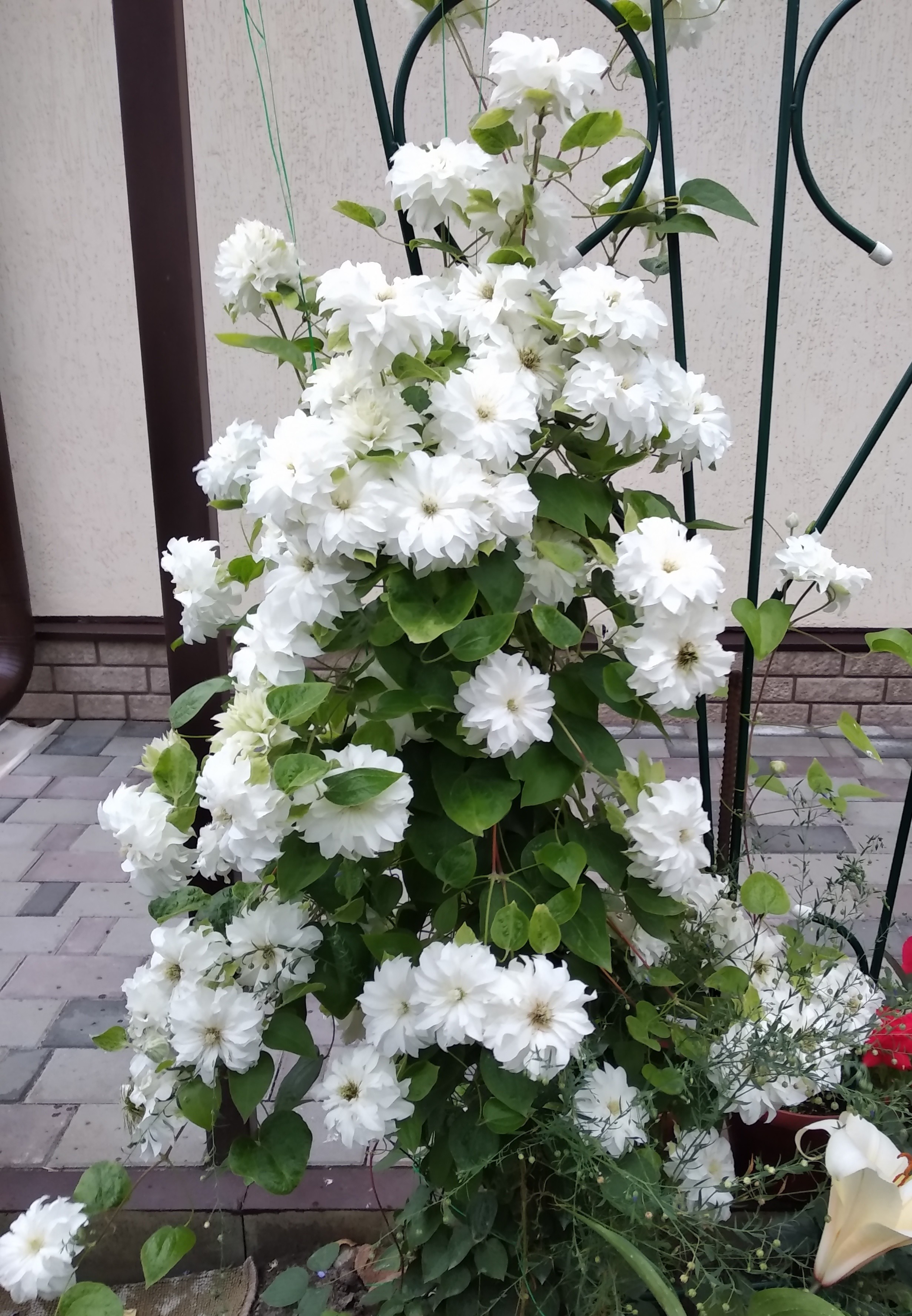 Мария Склодовская Кюри — изображение 2